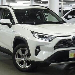 2019 TOYOTA RAV4 4X4