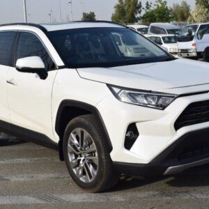 2019 TOYOTA RAV4 White